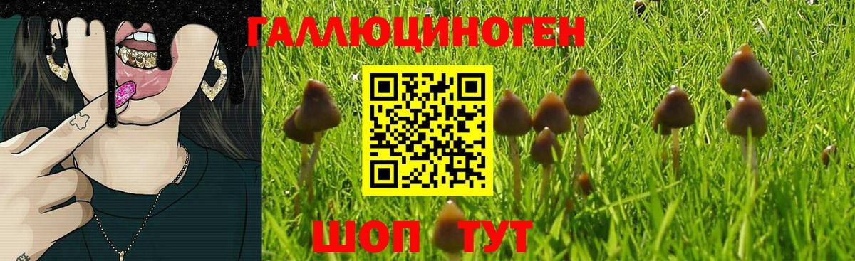 Куйбышев  купить   Вход с VPN  Галлюциногенные грибы Psilocybine cubensis  Галлюциногенные грибы прущие грибы 